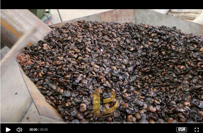 環保好色先生APP下载炭化處理腰果外殼增加經濟效益